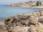 Stalis Beach - Crete photo 10