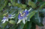 Moni Vidianis Monastery - Crete photo 1