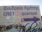Cretaquarium (Sea Aquarium) - Crete photo 3