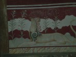 Knossos (archaeological site) - Crete photo 27