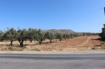 Gournes - Crete photo 21