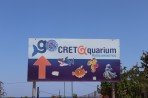 Cretaquarium (Sea Aquarium) - Crete photo 1