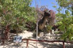 Dinosauria Park - Crete photo 31