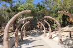 Dinosauria Park - Crete photo 32