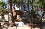 Dinosauria Park - Crete photo 35