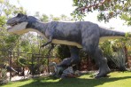 Dinosauria Park - Crete photo 37