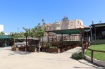 Dinosauria Park - Crete photo 43