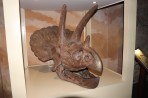 Dinosauria Park - Crete photo 3