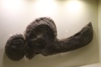 Dinosauria Park - Crete photo 4