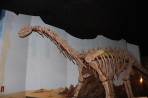 Dinosauria Park - Crete photo 5