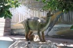 Dinosauria Park - Crete photo 7