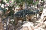 Dinosauria Park - Crete photo 11
