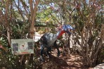 Dinosauria Park - Crete photo 15