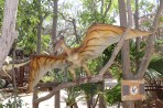 Dinosauria Park - Crete photo 20