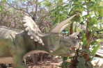 Dinosauria Park - Crete photo 22