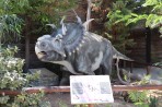 Dinosauria Park - Crete photo 25