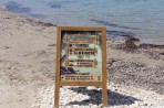 Alykes (Alikes) Beach - Zakynthos island photo 6