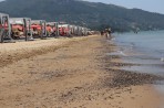 Banana Beach - Zakynthos island photo 10