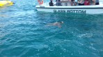 Marathonisi (Turtle Island) - Zakynthos island photo 7