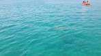 Marathonisi (Turtle Island) - Zakynthos island photo 10
