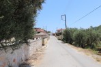 Agalas - Zakynthos island photo 14