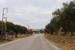 Agios Dimitrios - Zakynthos island photo 6