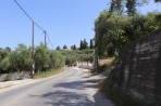 Amoudi - Zakynthos island photo 10