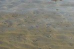 Banana Beach - Zakynthos island photo 29
