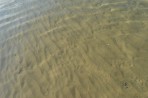 Banana Beach - Zakynthos island photo 30