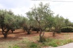 Anafonitria - Zakynthos island photo 12