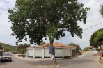 Anafonitria - Zakynthos island photo 17