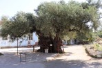 Exo Chora - Zakynthos island photo 12