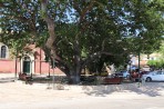 Exo Chora - Zakynthos island photo 13
