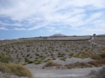 Santo Horse Riding - Santorini photo 3