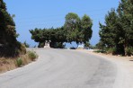 Salakos - Rhodes Island photo 2