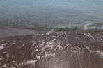 Afandou Beach - island of Rhodes photo 9