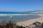 Apolakkia Beach (Limni) - island of Rhodes photo 9