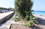 Ialyssos Beach (Ialissos) - Rhodes Island photo 3