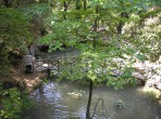 Valley of the Butterflies (Petaloudes) - Rhodes island photo 4