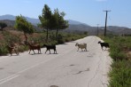 Nature on the island of Rhodes photo 6