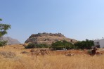 Feraklos Castle - Rhodes Island photo 4