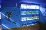 Faliraki Aquarium - island of Rhodes photo 18