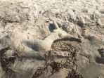 Marmari Beach - Kos Island photo 21