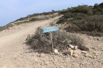 Cavo Paradiso Beach - Kos Island photo 1
