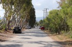 Lambi - Kos Island photo 4