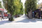 Lambi - Kos Island photo 23