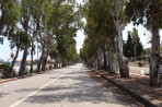 Psalidi - Kos Island photo 3