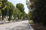 Psalidi - Kos Island photo 5