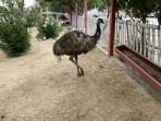 Erikas Horse Farm - island of Kos photo 1