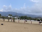 Erikas Horse Farm - island of Kos photo 8